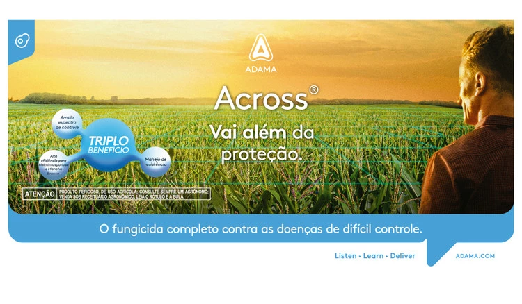 Across_Milho_Galeria